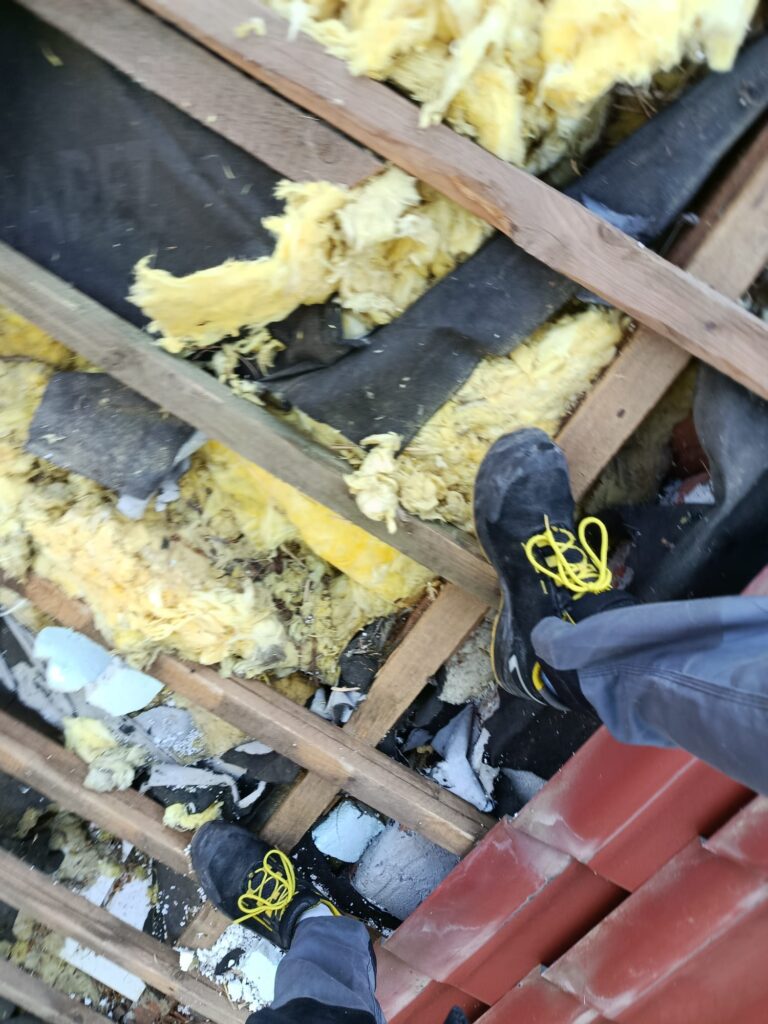 zniszczenia izolacji dachu domu w Krakowie wyrządzone przez kunę