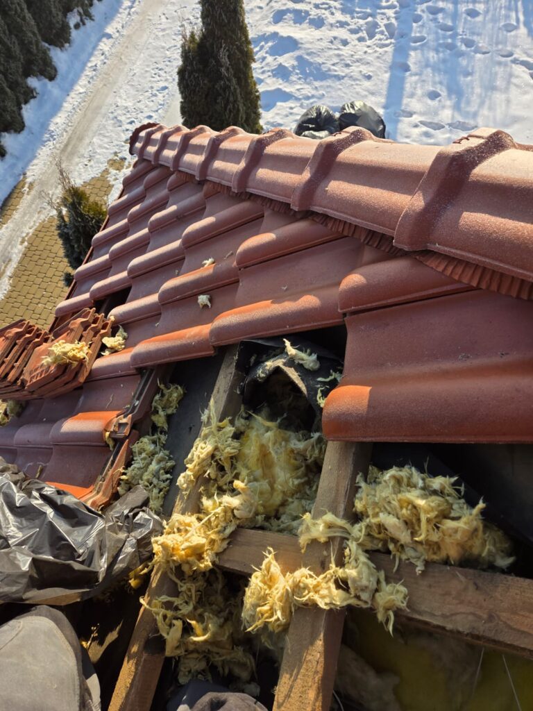 zniszczona przez kuny wełna izolująca dach